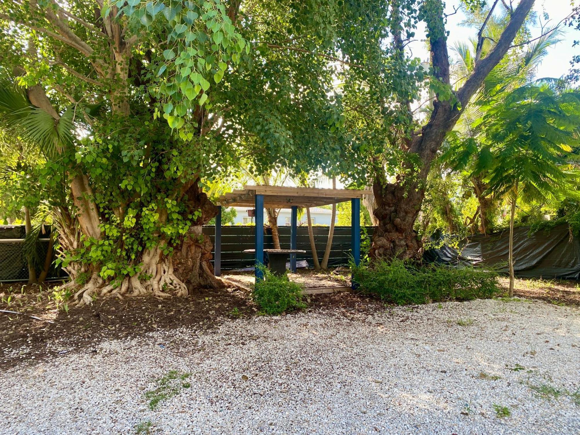 Private Rooms At Miami Centrally Located With Free Parking מראה חיצוני תמונה